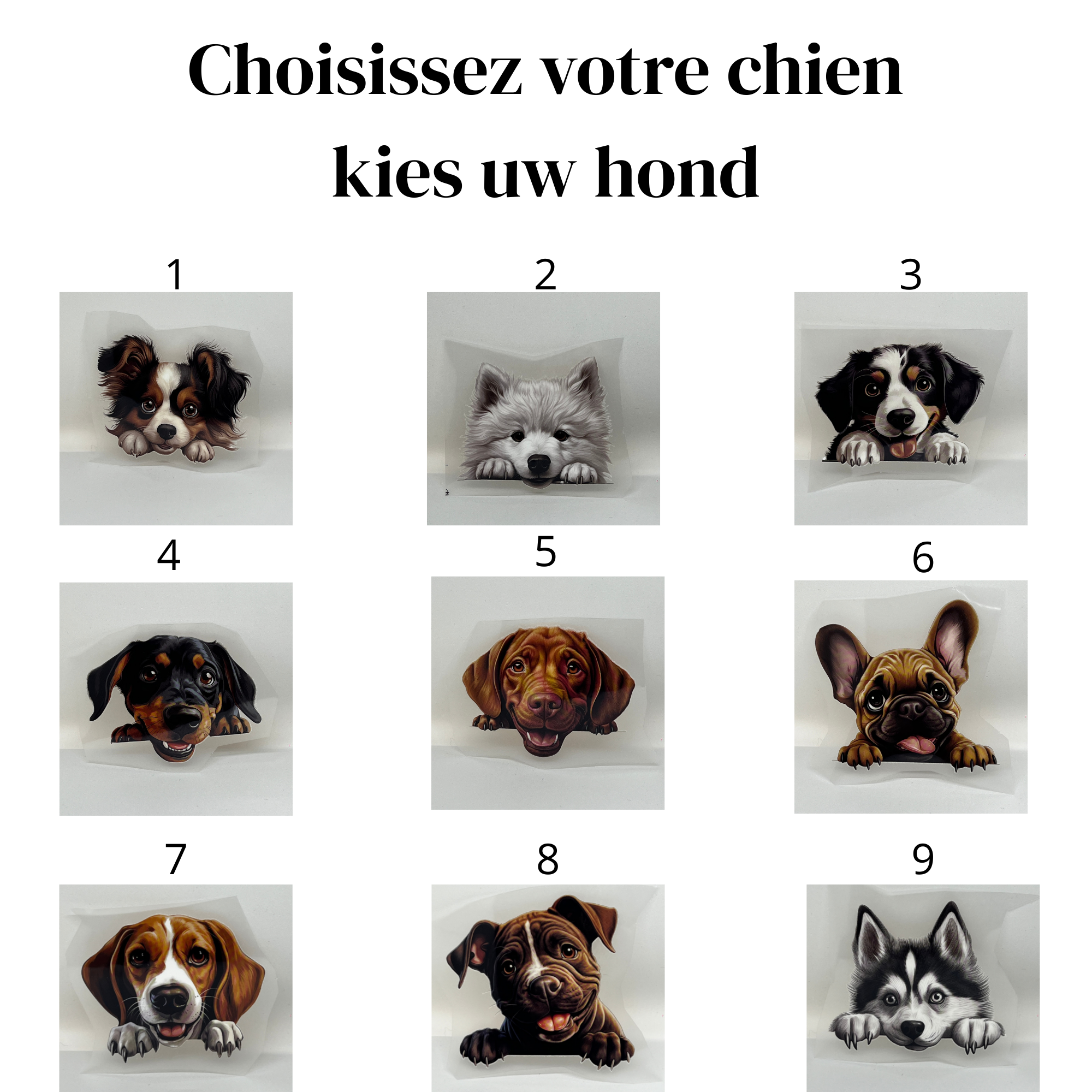 T-shirt chien personnalisé avec prénom – 9 chiens au choix | Cadeau original amoureux des chiens